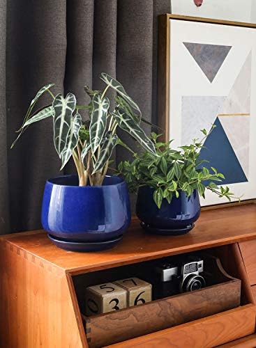 LE TAUCI Plant Pots, 4.1+5.1+6.5 inch, Set of 3, Ceramic Planters with Drainage Hole and Saucer, Indoor Flower Pot with Hole Mesh Pad, Gifts for Mom