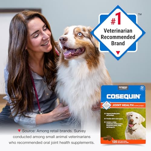 Nutramax Cosequin Joint Supplement for Dogs, Skin & Coat, Soft Chews, 120ct | Glucosamine & Chondroitin for Dogs with MSM, Omega-3s, Supports Joints