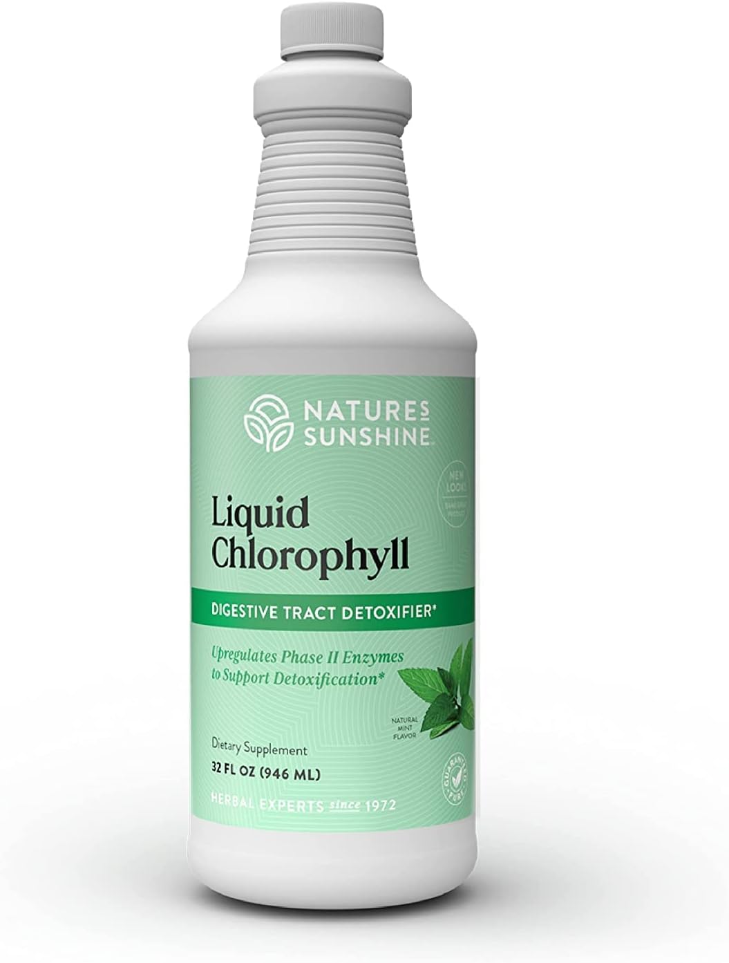 Nature's Sunshine Liquid Chlorophyll Extra Strength - Immunity Support, Detox & Cleanse, Chlorophyll Liquid Drops with Spearmint Oil, Natural Energy Boost, Internal Deodorant - 16 Fl Oz