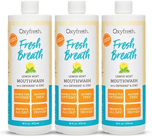 Oxyfresh Lemon Mint Fresh Breath Mouthwash – Bad Breath Treatment – SLS & Fluoride Free – Alcohol Free, Gentle Nonburning with Xylitol & Essential Oils – 16 Fl Oz | Refreshing Oral Rinse for Bad Breath – Alcohol Free, Gentle Non Burning Mouthwash with Xy…