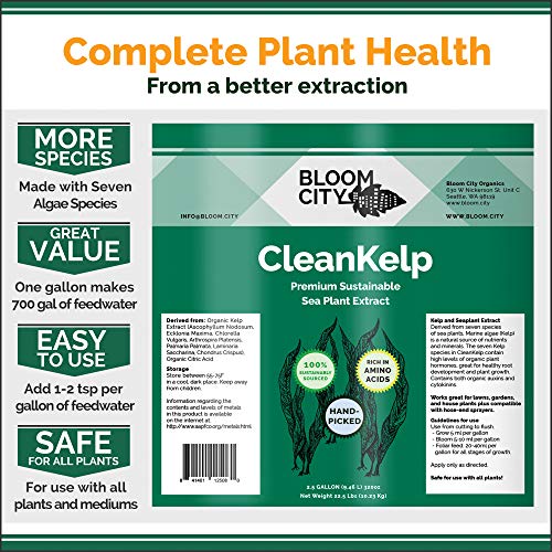 Bloom City Seaweed and Kelp Liquid Fertilizer for Plants, 32 oz | Encourages Strong Root Growth, Helps Ease Transplant Shock, Foliar Spray or Soil Drench, Indoor & Outdoor Garden Use