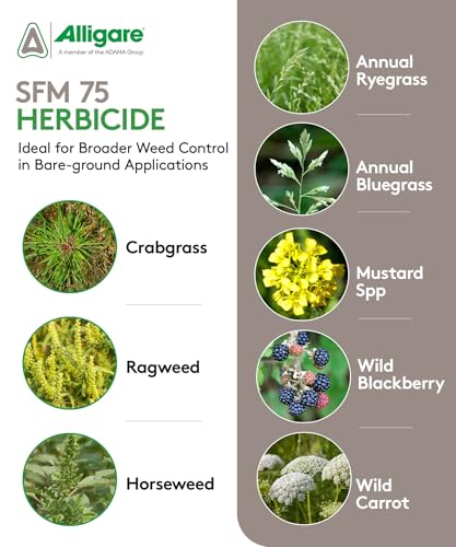 ALLIGARE SFM 75 Weed Killer - Broad-Spectrum Pre- and Post-Emergent Weed Killer for Forestry, Rights-of-Way, Industrial & Non-Crop Sites - Low Use Rates, Residual Performance - 3 lb
