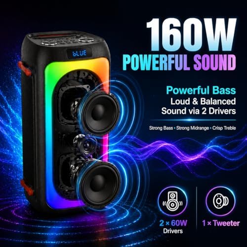 Karaoke Machine with 2 Rechargeable Wireless Microphones, Portable PA System with LED Lights, Bluetoot 5.3