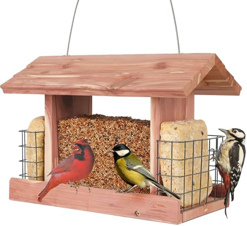 Solution4Patio US Cedar Hopper Bird Feeder for Outdoors Hanging, Handcrafted Wood Double Suet Cage & Clear View Windows, Squirrel-Proof Wild Bird Feeder for Cardinals, Finches, Chickadees