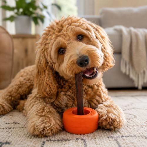 Bully Stick Holder for Dogs - Medium Size - Interactive Dog Toy, Dog Treat Holder, Slow Feeder, Treat Dispenser, Chew Toy and Dog Safety Device