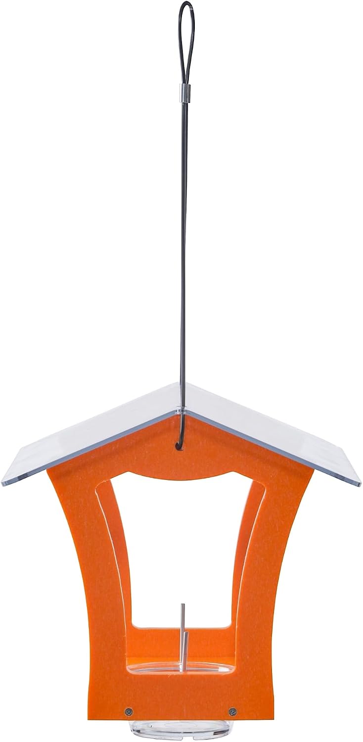 Birds Choice Oriole Bird Feeder | Hanging Bird Feeder for Jelly & Orange Halves | Includes Cup & Fruit Pegs | Recycled Plastic | Sturdy for Garden, Backyard, & Outdoor | 2 Cup Capacity, Orange | Includes Jelly Cup and Fruit Pegs, Recycled Plastic in Oran…