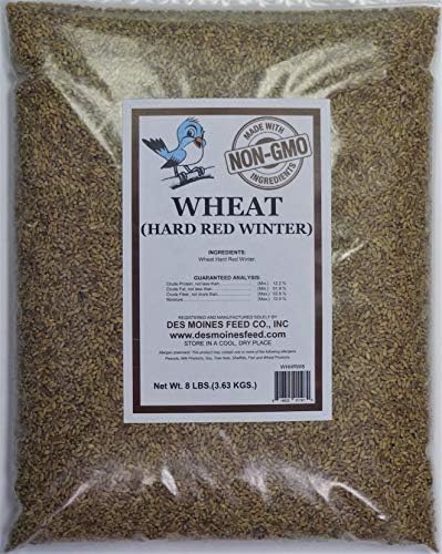 Wheat (Hard Red Winter) 8 lbs