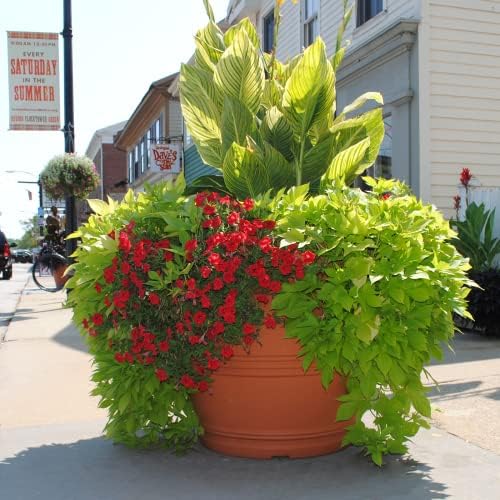Tusco Products T30 Rolled Rim Pot, Round, Terra Cotta, 30-Inch