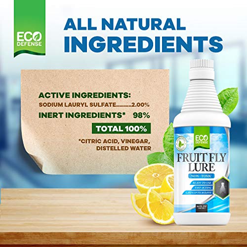 Eco Defense Fruit Fly Killer - Natural Fruit Fly Trap & Drain Fly Killer Treatment for Indoor Fly Control in Kitchen, Restaurants, and More, 16 Oz