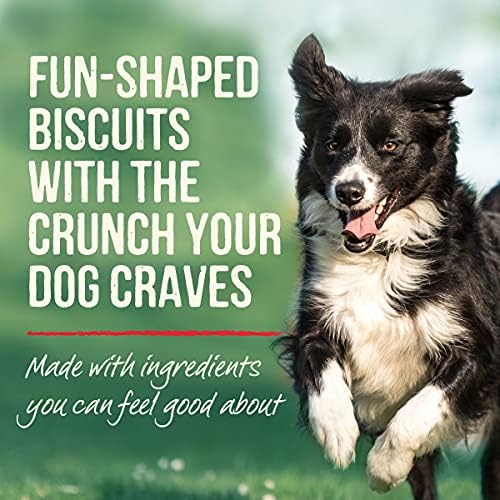 Merrick Oven Baked Dog Treats, Natural and Crunchy Bag of Treats, Pumpkin Patch with Real Pumpkin Snack