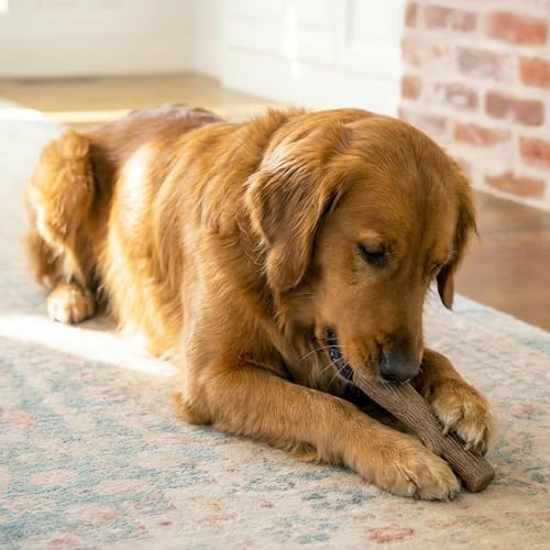 Pupstages Dogwood Dog Chew Toy, Made in the USA – Real-Wood Blend, Natural Flavor & Texture, Moderate Chewers, Small, 5.4"