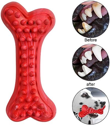 German Shepherd Dog Chew Toys for Aggressive Chewers