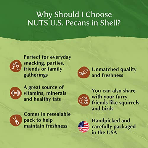 NUTS U.S. - Pecans In shell | Whole
