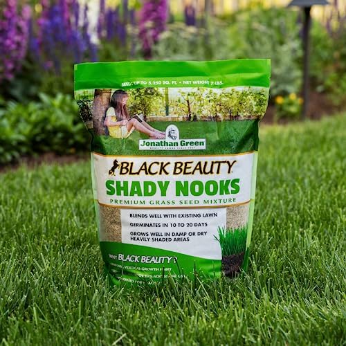 Jonathan Green (11960) Black Beauty Shady Nooks Grass Seed - Cool Season Lawn Seed (25 lb)
