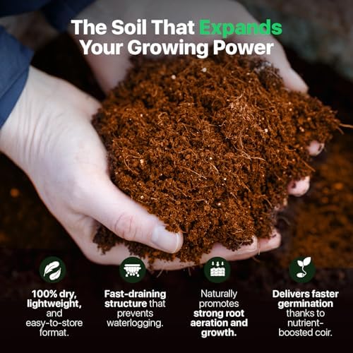 WONDER SOIL | (30 Quarts) The Only Ready to Plant Compressed Coco Coir Fully Loaded with Nutrients | 3-Pack Organic Coco Coir Brick | 3 Bricks
