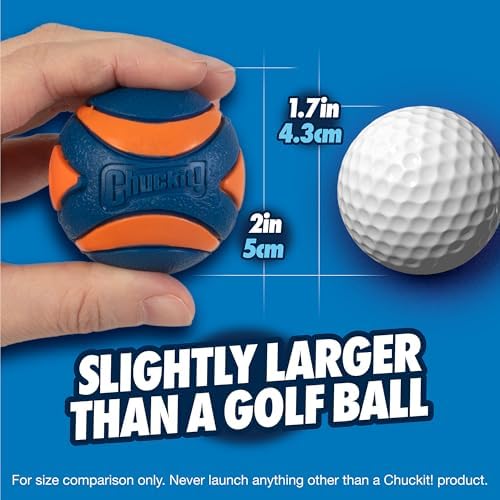 Chuckit! Ultra Ball Dog Toy, Balls for Dogs to Fetch, Durable Rubber, Small 2-inch, Pack of 2