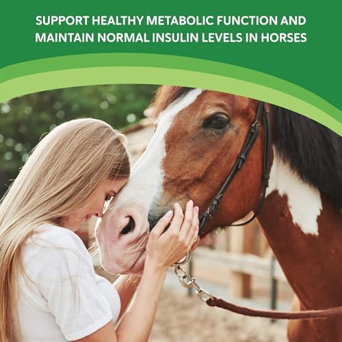 HEIRO Healthy Equine Nutritional Supplement for Horses, Herbal Blend with Magnesium and Vitamin E, Daily Metabolic Support Formula, Feed Powder, 90 Servings