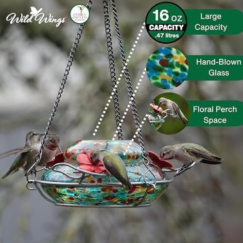 Nature's Way Brid Products WWGHF1 Top Fill Hummingbird Feeder
