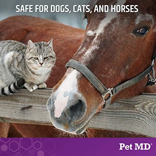 Pet MD Micoseb-CX Topical Shampoo for Dogs, Cats, & Horses - 12oz