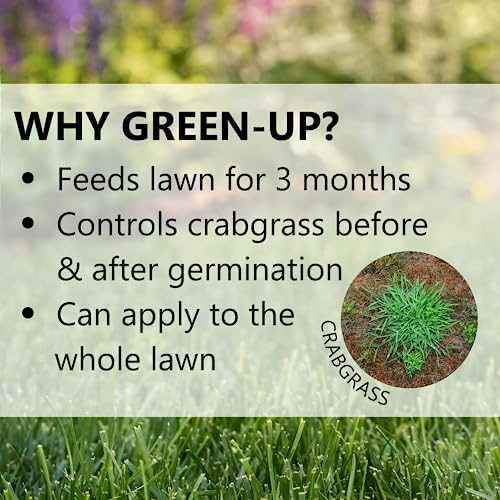 Jonathan Green (10457) Green-Up Lawn Food with Crabgrass Preventer - 20-0-3 Grass Fertilizer & Crabgrass Killer (15,000 Sq. Ft.)