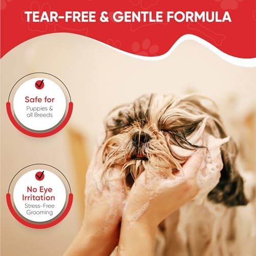 Warren London Foaming Pet Facial | Tear Free Dog Face Wash | Tearless Dog Shampoo for Faces & Dog Eye Stain Remover | Refreshing Cucumber Melon Wash | Made in USA | 8oz