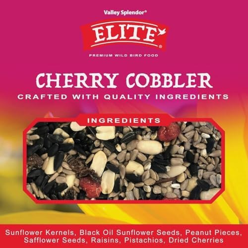 Cherry Cobbler