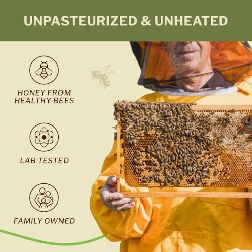 OneRoot Raw Buckwheat Honey – 500g / 17.6oz, Unheated & Unprocessed Dark – Nutrient-Rich, Antioxidant-Packed Natural Sweetener – Pure & Unfiltered Honey