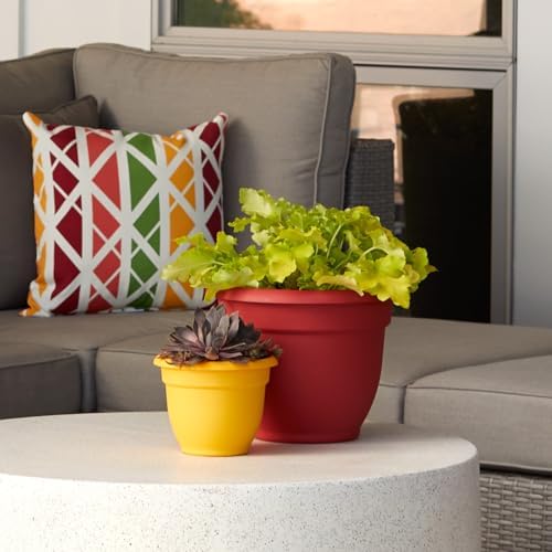 Bloem AP1013 Ariana Self Watering Planter 10" Burnt Red