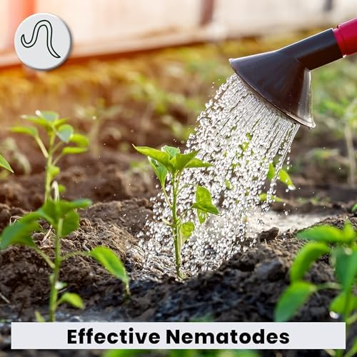 The Environmental Factor Nematodes Organic Insect Control Pot Popper, Controls Fungus Gnats, Root Aphids & Western Flower Thrips - 100% Pesticide free
