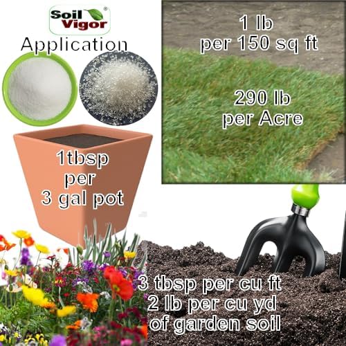 Organic Fertilizer Humic Acid with Potassium Based Super Absorbent Polymer for Lawn and Garden, Soil Vigor ™ 5 Pounds Bag (1)