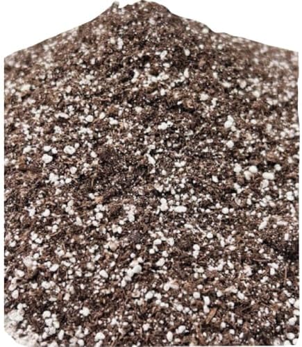 Black Gold Seedling Soil - Starter Soil for Planting Seeds - 16 Qt. - Modern