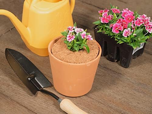 Envelor 20 pcs Coconut Fibers Mulch Ring 4 Inches Tree Protector Mat Coconut Mulch Cover Natural Coconut Fiber Weed Control Rings, Tree Ring Plant Cover for Indoor Outdoor Plants, Pot, Landscaping