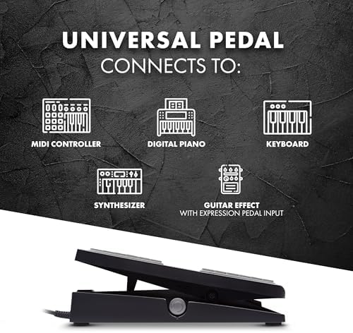 M-AUDIO EX-P Keyboard Expression Pedal | Universal Expression Pedal for MIDI Keyboards, MIDI Controllers, and Supported Guitar Effects Pedals