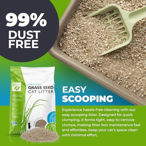 Only Natural Pet - Fast Clumping Cat Litter Non GMO Kitty Litter, Single or Multi Cat, Unscented - 20 lb Bag
