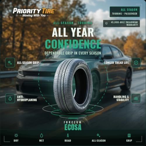 Forceum Ecosa All-Season Passenger Car Touring Radial Tire-175/70R14 175/70/14 175/70-14 84T Load Range SL 4-Ply BSW Black Side Wall UTQG 400AA