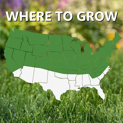 Jonathan Green (11960) Black Beauty Shady Nooks Grass Seed - Cool Season Lawn Seed (25 lb)