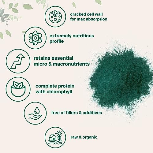 Micro Ingredients Organic Chlorella Powder, 20 Ounces | Broken Cell Wall for Complete Absorption | Raw Superfood Supplement