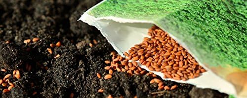'Super Soil Organic Concentrate