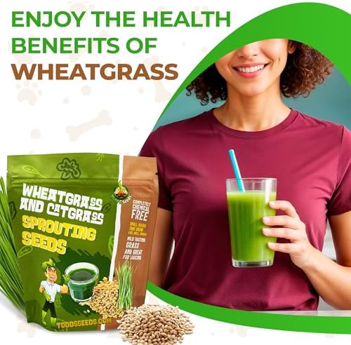 Todd's Seeds Hard Red Wheatgrass Seeds, 5 lb Bulk – Non-GMO | Hard Red Winter Wheat variety. Bulk 5 lb supply. High germination rate. Grow in soil or hydroponics. USA packed.
