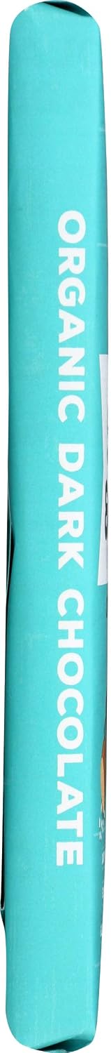 Taza Chocolate Organic Amaze Bar 95% Stone Ground, Wicked Dark, 2.5 Ounce (1 Count), Vegan