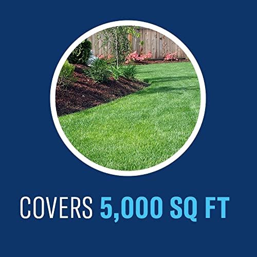 BioAdvanced Fungus Control for Lawns - 32 fl oz Bottle | Ready-to-Spray - Cures and Prevents Lawn Diseases - Up to 1 Month Protection - Covers 5,000 Square Feet