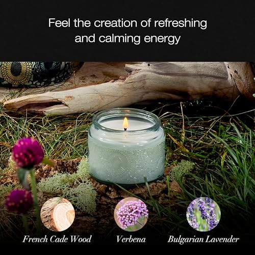 Voluspa Baltic Amber, Petite Candle Jar, 3.2 Ounce, 25 Hour Burn Time, Coconut Wax for Clean Burning, Handcrafted in the USA