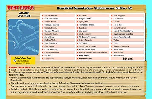 NaturesGoodGuys Beneficial Nematodes Steinernema feltiae SF - 5 Million