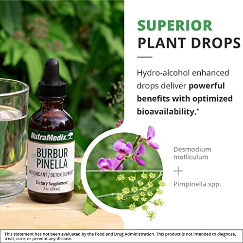 NutraMedix Burbur-Pinella Brain Health Supplements for Adults - Combat Brain Fog & Promote Nerve Support - Aid A Healthy Full Body Detox Cleanse