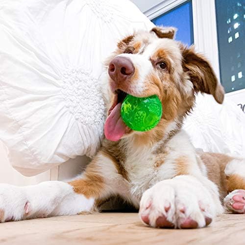 Hyper Pet DuraSqueak Dog Ball Toy, Interactive Dog Toys that Float and Squeaks for Playing, Fetching and Retrieving-Great Alternative to Traditional Tennis Balls Green 2.5 Inch | Bold sound effects reward play, a fresh alternative to traditional tennis o…