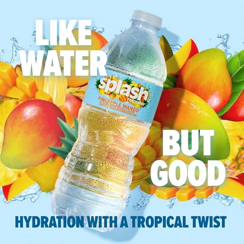 SPLASH REFRESHER Flavored Water Bottles, Lemon - 6 Pack | Refreshing Flavored Bottled Water with Electrolytes - Zero Sugar & Zero Calories - 16.9 Fl Oz