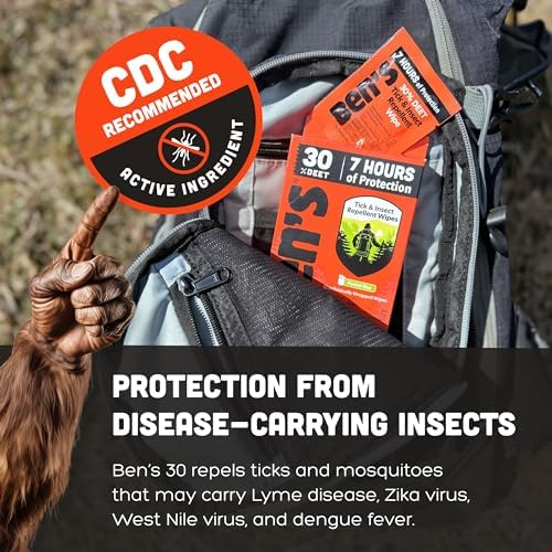 Ben's Tick & Insect Repellent Wipes, 30% DEET, 12 Wipes, 4 Pack