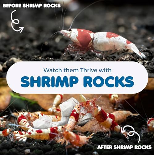 SunGrow Shrimp Rocks, Calcium, Magnesium Rocks for Crayfish, Hermit Crab, Snails, Crustacean Care, Aquarium Decor for Crystal Red, Amano and Ghost Shrimps, Nano Tank Accessories, Fish Tank Supplies