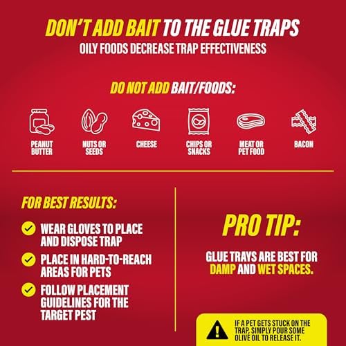 Catchmaster-16 Mouse & Insect Glue Traps, Heavy-Duty Pesticide-Free Sticky Mouse Traps Indoor for Home, Used by the PROs