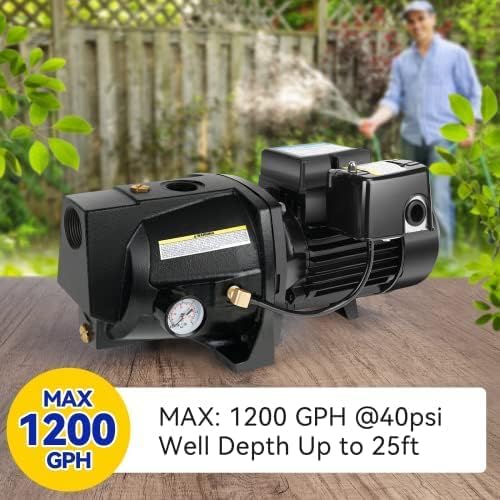 Shallow Well Jet Pump,Cast Iron, Well Depth Up to 25ft, 115V/230V Dual Voltage, Automatic Pressure Switch
